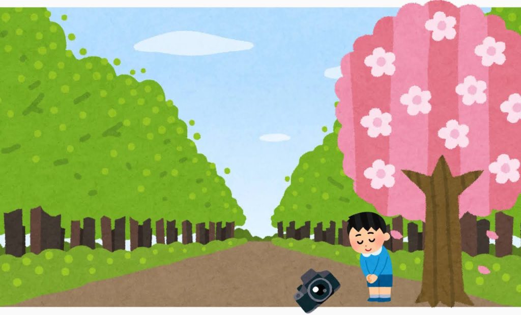 子供が桜の下でカメラを覗き込んでいる画像